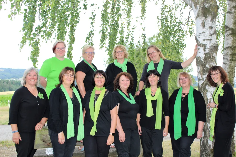 Die Stimmgruppe Tenor von CHORios